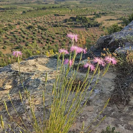 La Gineta * Calaceite